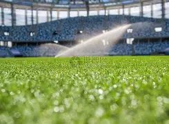 哈兰德错失,良机,主裁判罚引,九游会,j9,九游会官方网站,j9官网,九游会游戏,j9真人游戏,九游会平台