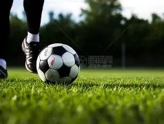 韦伯揭秘范,戴克破门争,罗伯逊干扰,九游会,j9,九游会官方网站,j9官网,九游会游戏,j9真人游戏,九游会平台