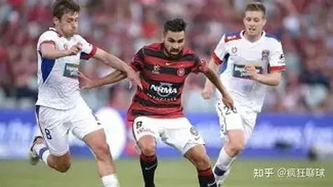 j9九游会 资讯 095059 x2z