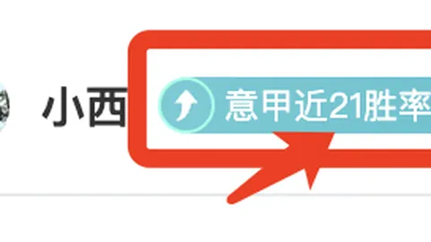 大乐透期号专家质合分析：男篮专家预测八村垒河村勇辉世预赛无缘